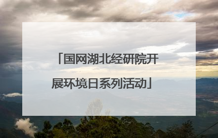 国网湖北经研院开展环境日系列活动