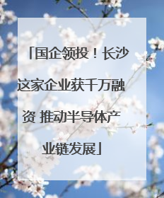 国企领投！长沙这家企业获千万融资 推动半导体产业链发展