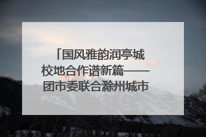 国风雅韵润亭城 校地合作谱新篇——团市委联合滁州城市职业学院助力传统文化“破圈”绽放