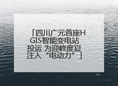 四川广元首座HGIS智能变电站投运 为迎峰度夏注入“电动力”