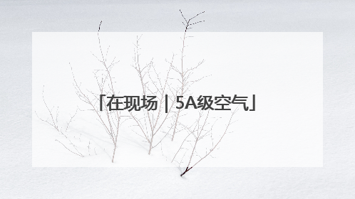 在现场｜5A级空气