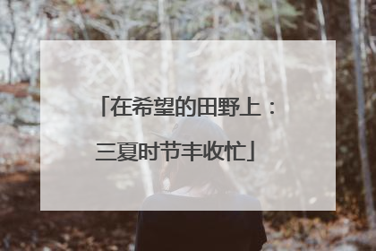 在希望的田野上：三夏时节丰收忙