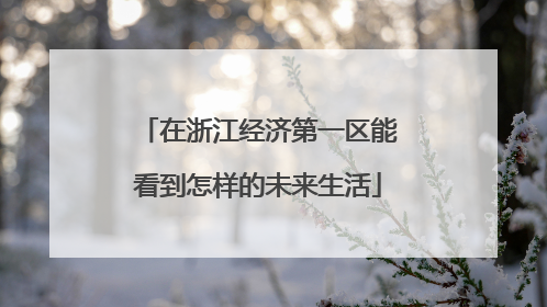 在浙江经济第一区能看到怎样的未来生活