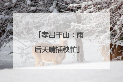 孝昌丰山：雨后天晴插秧忙