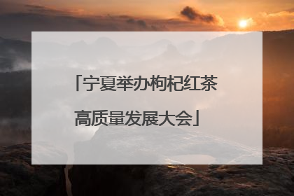 宁夏举办枸杞红茶高质量发展大会