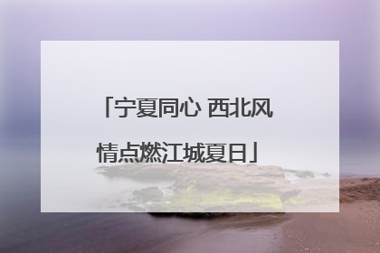 宁夏同心 西北风情点燃江城夏日