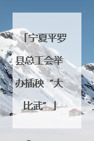 宁夏平罗县总工会举办插秧“大比武”