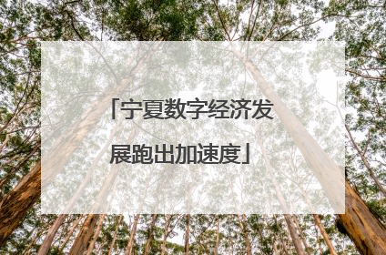 宁夏数字经济发展跑出加速度