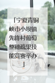 宁夏青铜峡市小坝镇先锋村葡萄整穗疏果技能竞赛举办