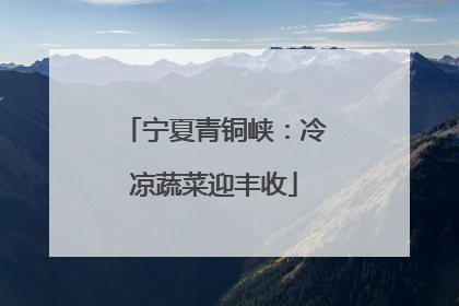 宁夏青铜峡：冷凉蔬菜迎丰收