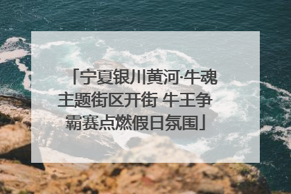 宁夏银川黄河·牛魂主题街区开街 牛王争霸赛点燃假日氛围