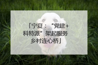 宁夏：“党建+科特派”架起服务乡村连心桥