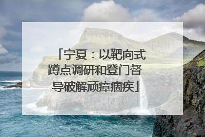 宁夏：以靶向式蹲点调研和登门督导破解顽瘴痼疾