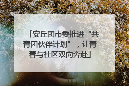 安丘团市委推进“共青团伙伴计划”，让青春与社区双向奔赴