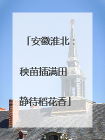 安徽淮北：秧苗插满田 静待稻花香