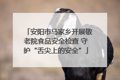 安阳市马家乡开展敬老院食品安全检查 守护“舌尖上的安全”