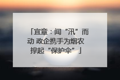 宜章：闻“汛”而动 政企携手为烟农撑起“保护伞”