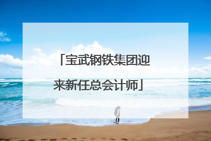 宝武钢铁集团迎来新任总会计师