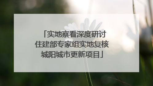 实地察看深度研讨 住建部专家组实地复核城阳城市更新项目