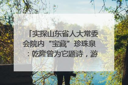 实探山东省人大常委会院内“宝藏”珍珠泉：乾隆曾为它题诗，游客无需预约免费游览