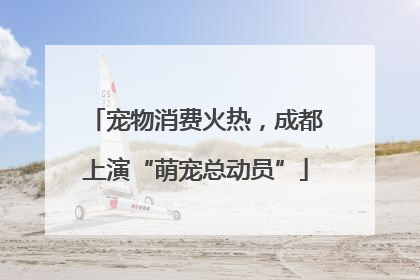 宠物消费火热，成都上演“萌宠总动员”
