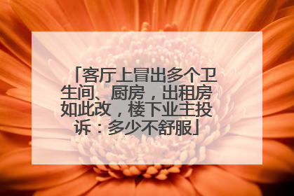 客厅上冒出多个卫生间、厨房，出租房如此改，楼下业主投诉：多少不舒服