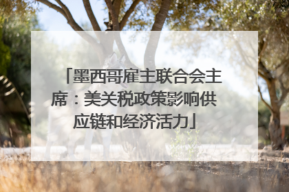 墨西哥雇主联合会主席：美关税政策影响供应链和经济活力
