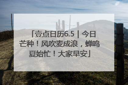 壹点日历6.5｜今日芒种！风吹麦成浪，蝉鸣夏始忙！大家早安