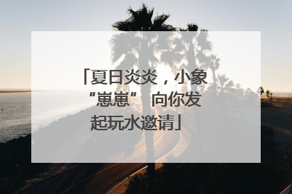 夏日炎炎，小象“崽崽” 向你发起玩水邀请
