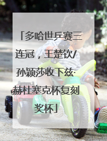多哈世乒赛三连冠，王楚钦/孙颖莎收下兹·赫杜塞克杯复刻奖杯