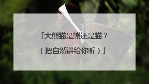 大熊猫是熊还是猫？（把自然讲给你听）