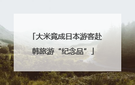 大米竟成日本游客赴韩旅游“纪念品”