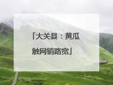 大关县：黄瓜触网销路宽