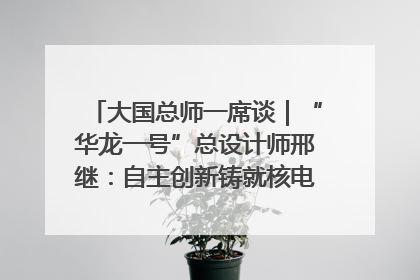 大国总师一席谈｜“华龙一号”总设计师邢继：自主创新铸就核电“国家名片”