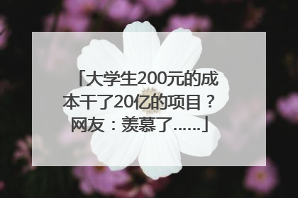 大学生200元的成本干了20亿的项目？网友：羡慕了……