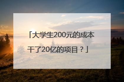大学生200元的成本干了20亿的项目？
