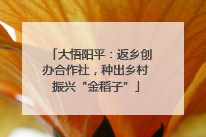 大悟阳平：返乡创办合作社，种出乡村振兴“金稻子”