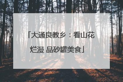 大通良教乡：看山花烂漫 品砂罐美食