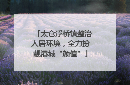 太仓浮桥镇整治人居环境，全力扮靓港城“颜值”