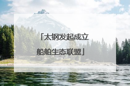 太钢发起成立船舶生态联盟