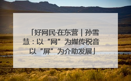 好网民·在东营｜孙雪慧：以“网”为媒传税音 以“屏”为介助发展