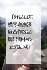 好品山东横琴粤澳深度合作区品牌出海中心正式启动