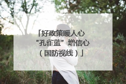 好政策暖人心 “孔雀蓝”增信心（国防视线）