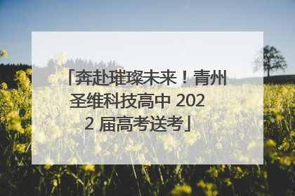 奔赴璀璨未来！青州圣维科技高中 2022 届高考送考