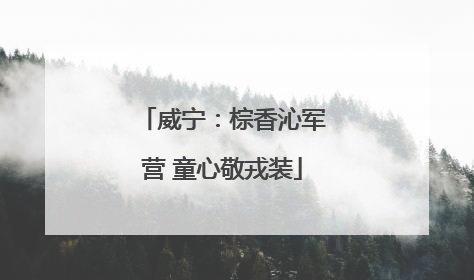 威宁：棕香沁军营 童心敬戎装