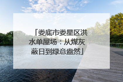 娄底市娄星区洪水单屋场：从煤灰蔽日到绿意盎然