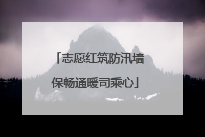 志愿红筑防汛墙 保畅通暖司乘心
