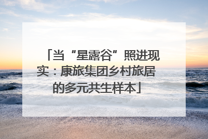 当“星露谷”照进现实：康旅集团乡村旅居的多元共生样本