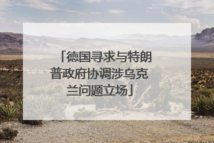 德国寻求与特朗普政府协调涉乌克兰问题立场