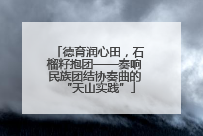 德育润心田，石榴籽抱团——奏响民族团结协奏曲的“天山实践”